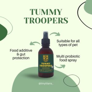 TUMMY TROOPERS